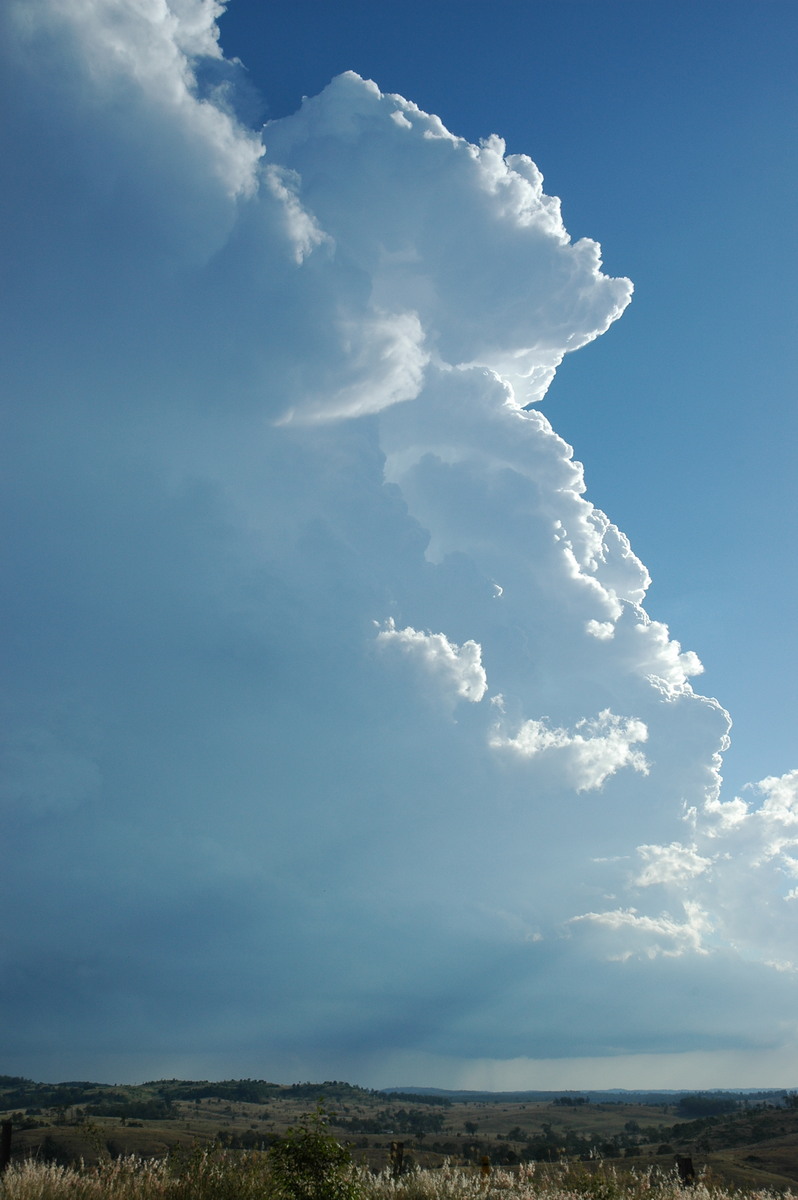 updraft thunderstorm_updrafts : near Yarraman, QLD   26 December 2005