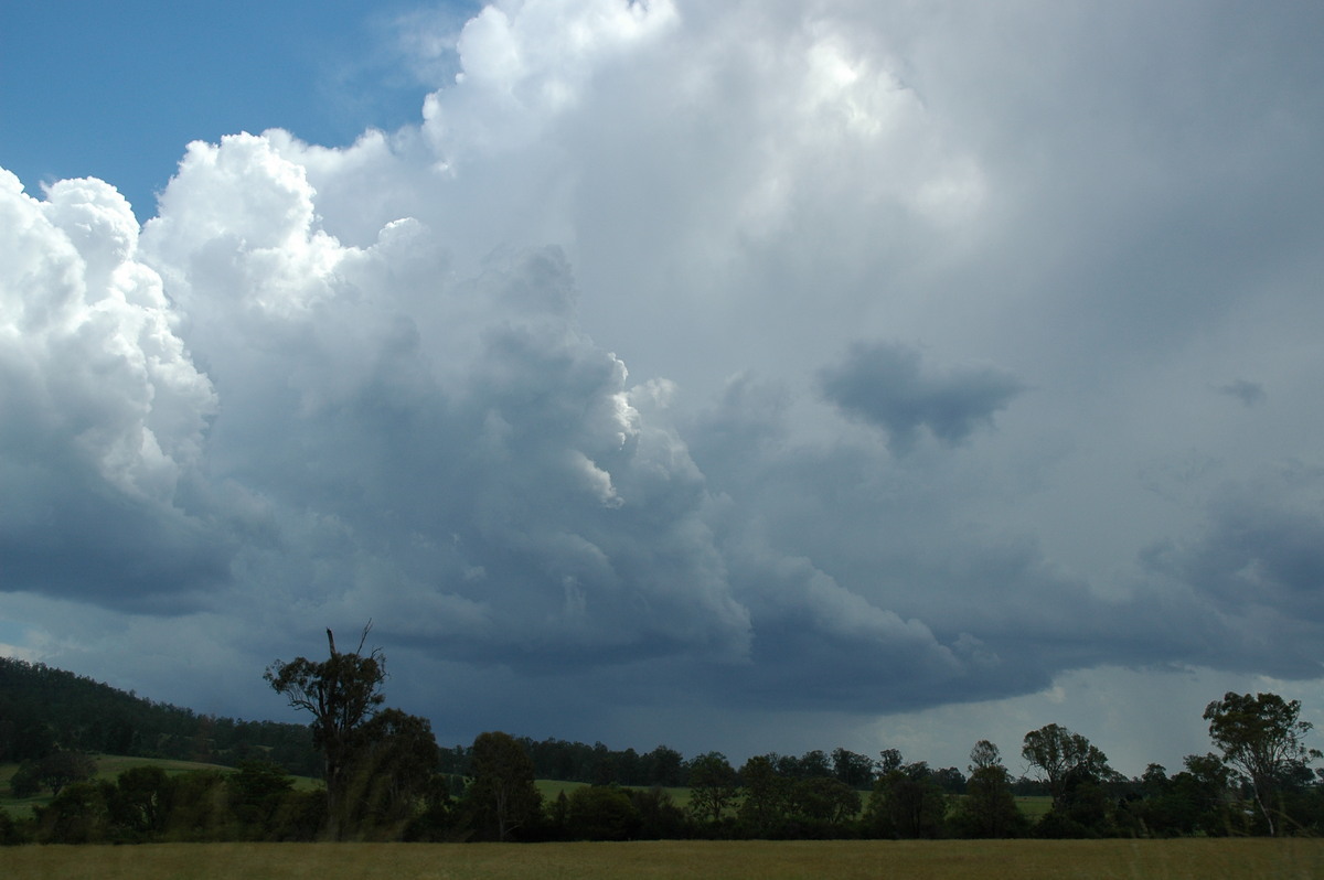 cumulonimbus thunderstorm_base : Mallanganee NSW   27 December 2005