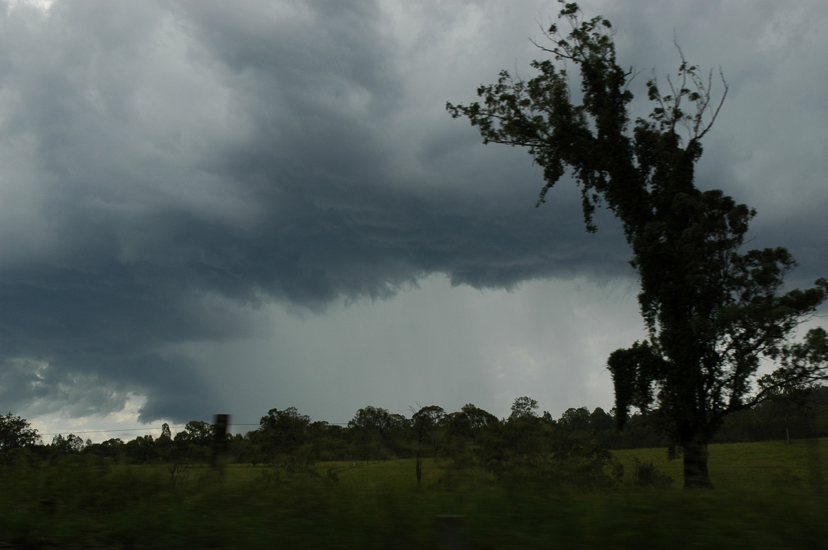 cumulonimbus thunderstorm_base : Mallanganee NSW   27 December 2005