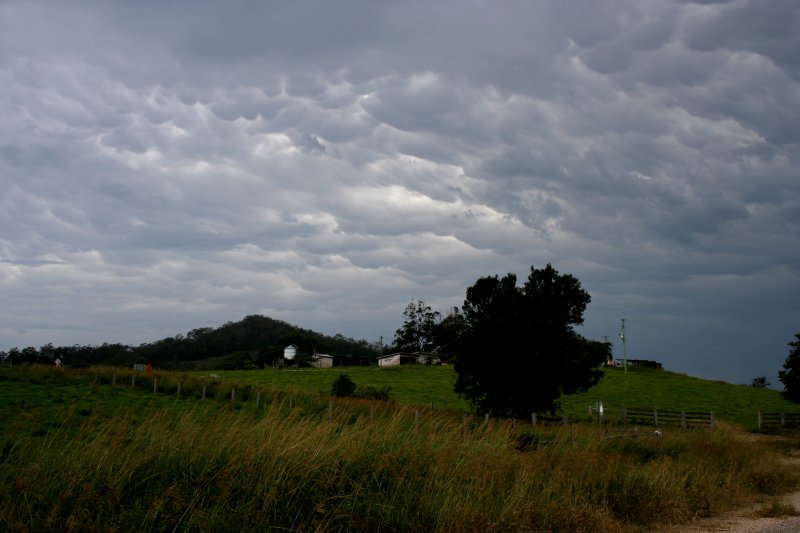 mammatus mammatus_cloud : S of Nambucca Heads, NSW   28 December 2005