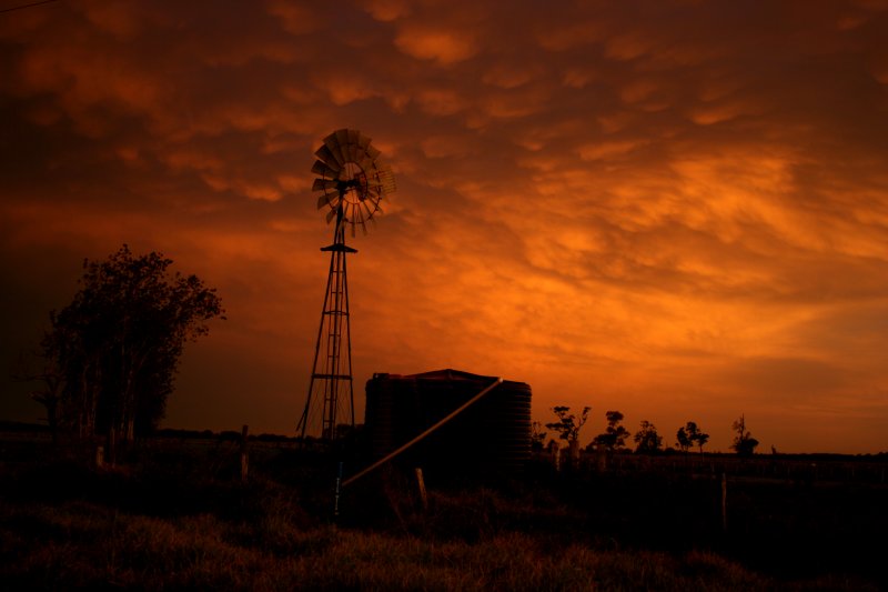 mammatus mammatus_cloud : Kempsey, NSW   28 December 2005