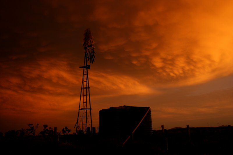 mammatus mammatus_cloud : Kempsey, NSW   28 December 2005