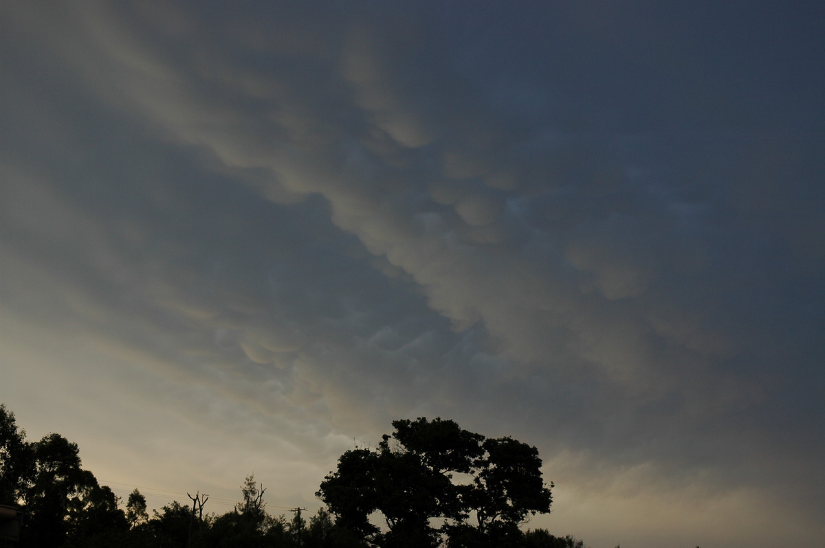 mammatus mammatus_cloud : McLeans Ridges, NSW   29 December 2005