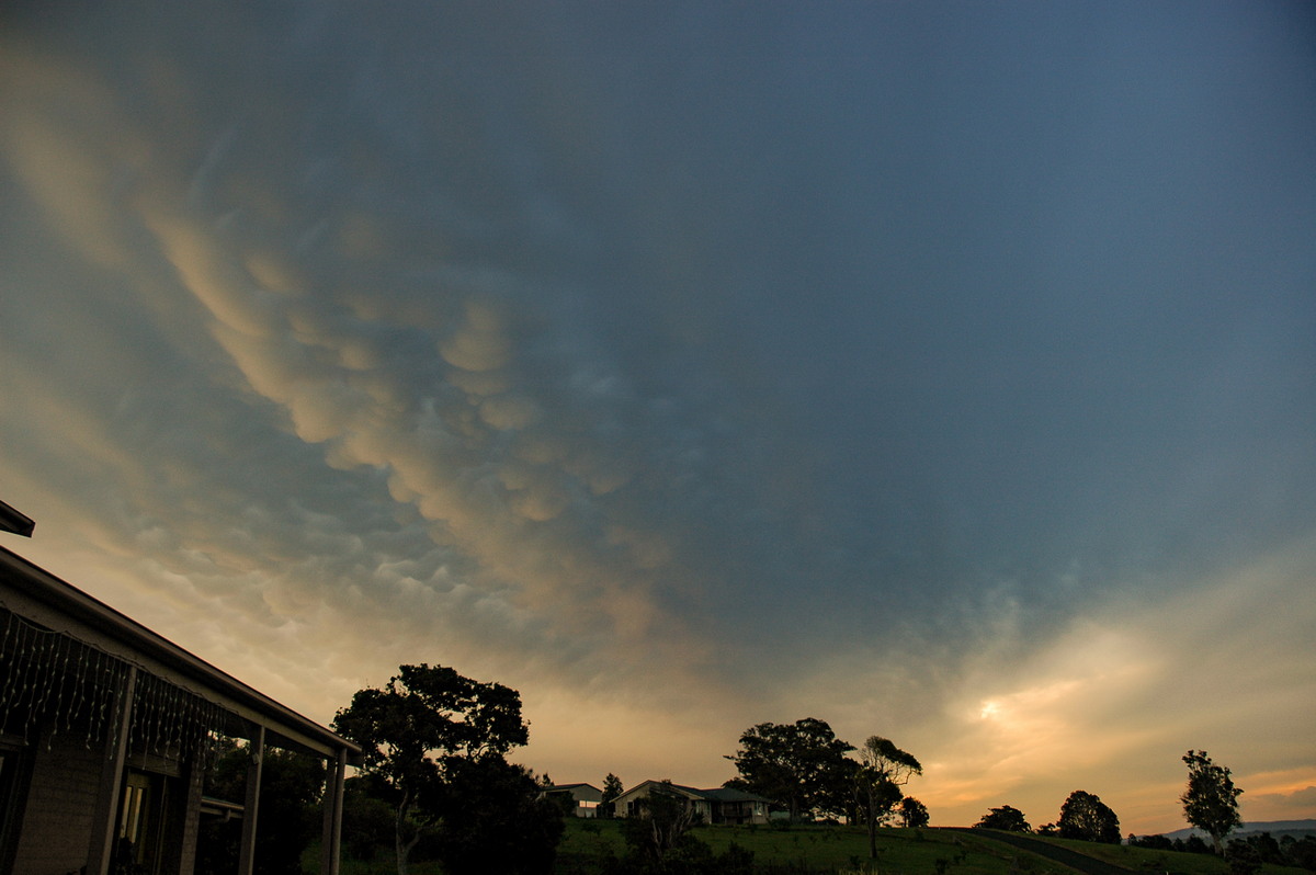 mammatus mammatus_cloud : McLeans Ridges, NSW   29 December 2005