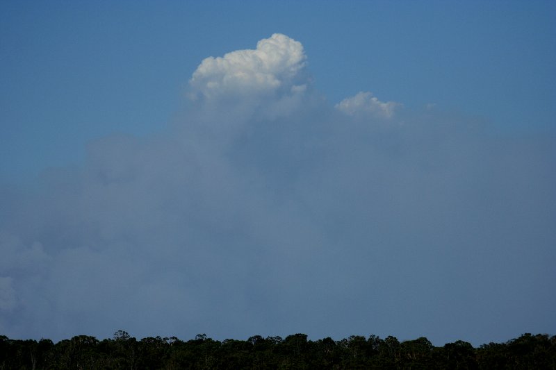 cumulus pyrocumulus : Schofields, NSW   1 January 2006
