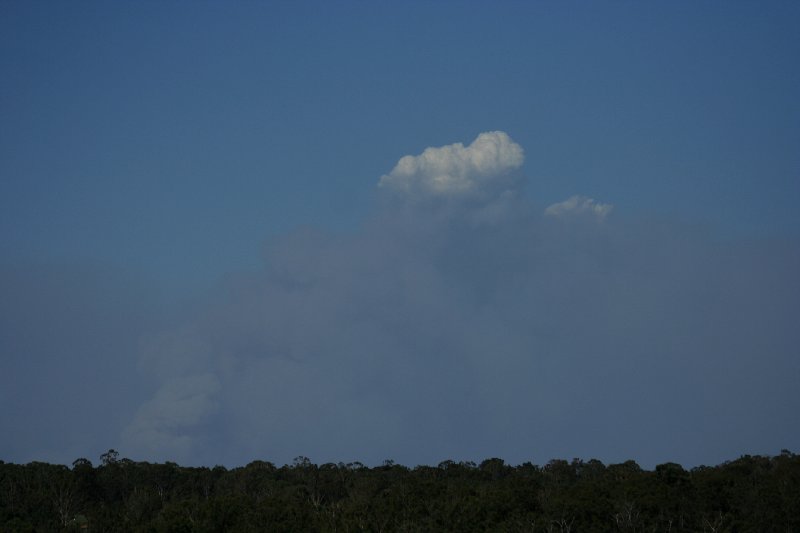 bushfire wild_fire : Schofields, NSW   1 January 2006