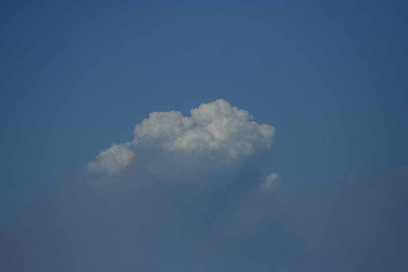 cumulus pyrocumulus : Schofields, NSW   1 January 2006