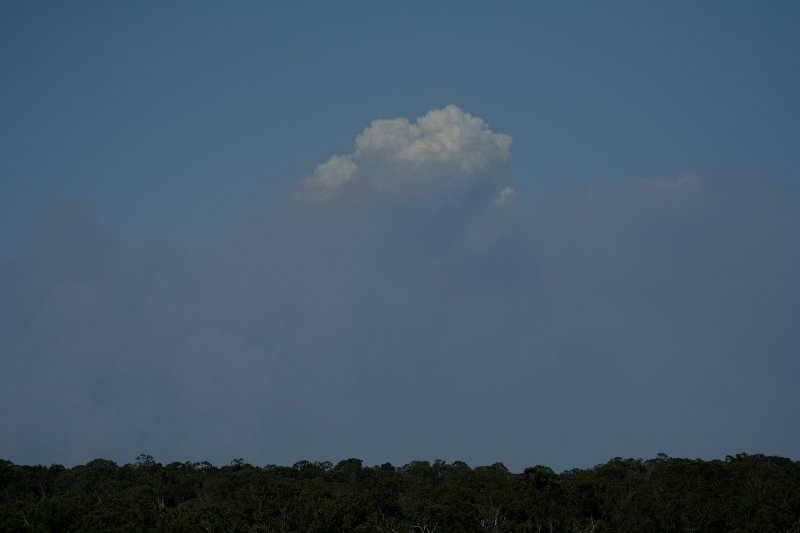 bushfire wild_fire : Schofields, NSW   1 January 2006