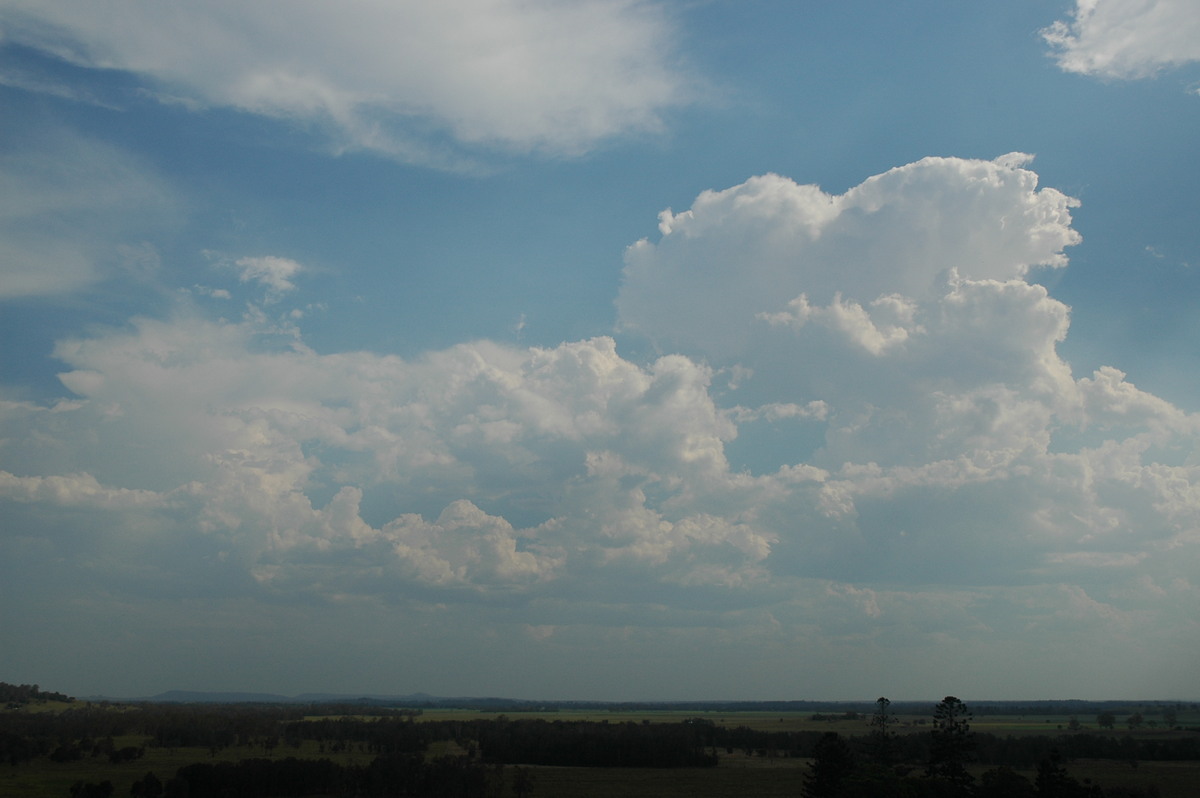 cumulus congestus : Parrots Nest, NSW   3 January 2006