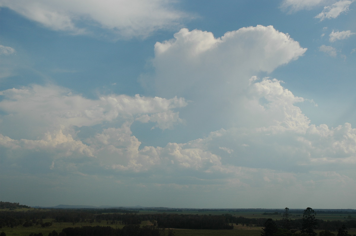 cumulus congestus : Parrots Nest, NSW   3 January 2006