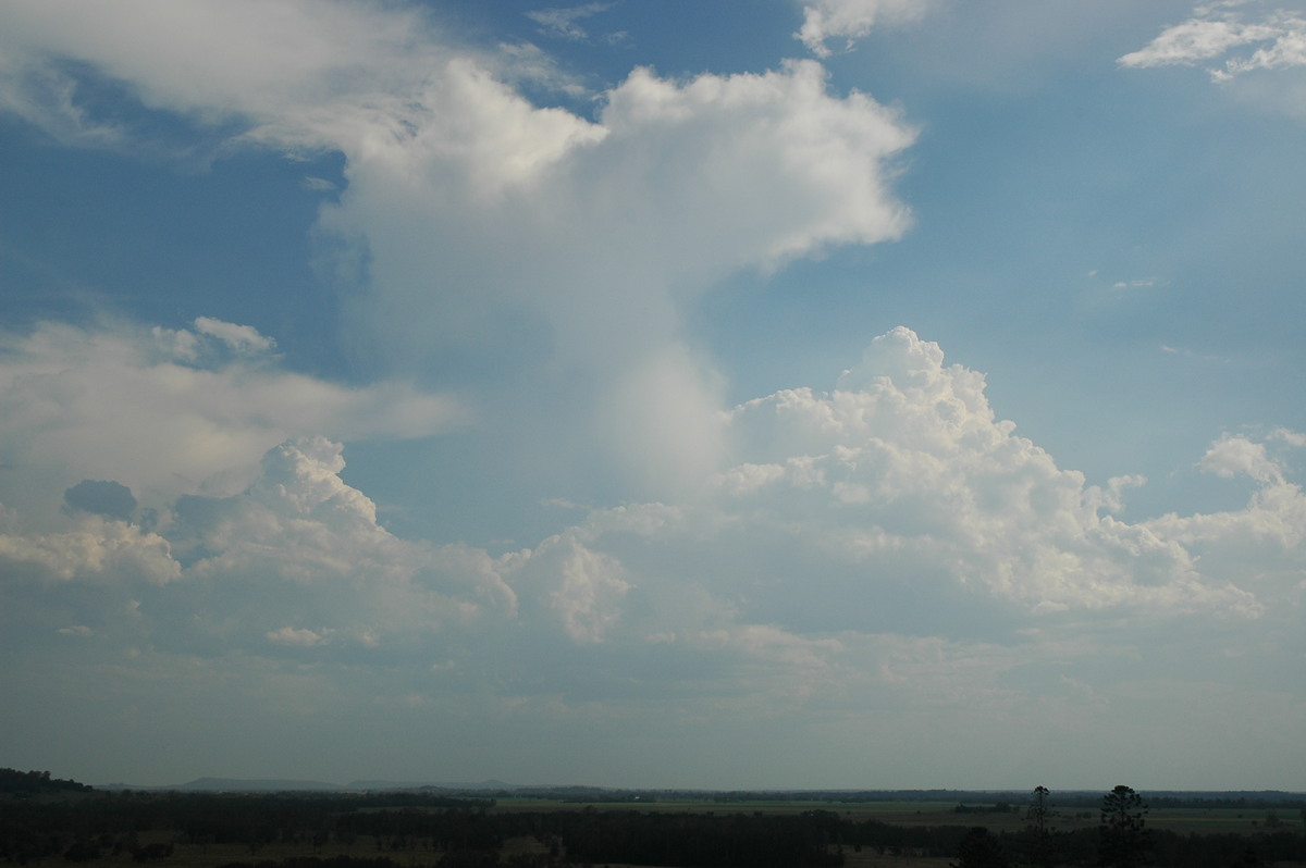 anvil thunderstorm_anvils : Parrots Nest, NSW   3 January 2006