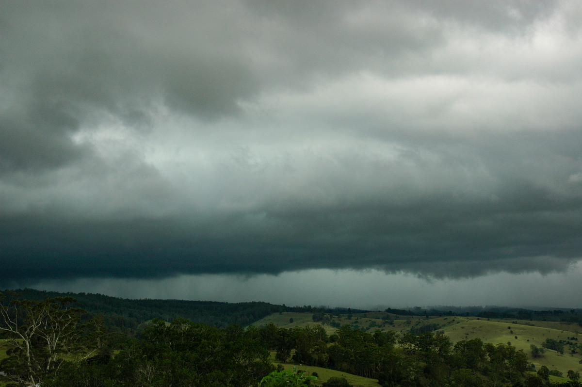 cumulonimbus thunderstorm_base : Mallanganee NSW   6 January 2006