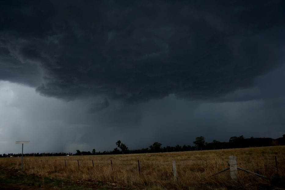 cumulonimbus thunderstorm_base : Forbes, NSW   12 January 2006