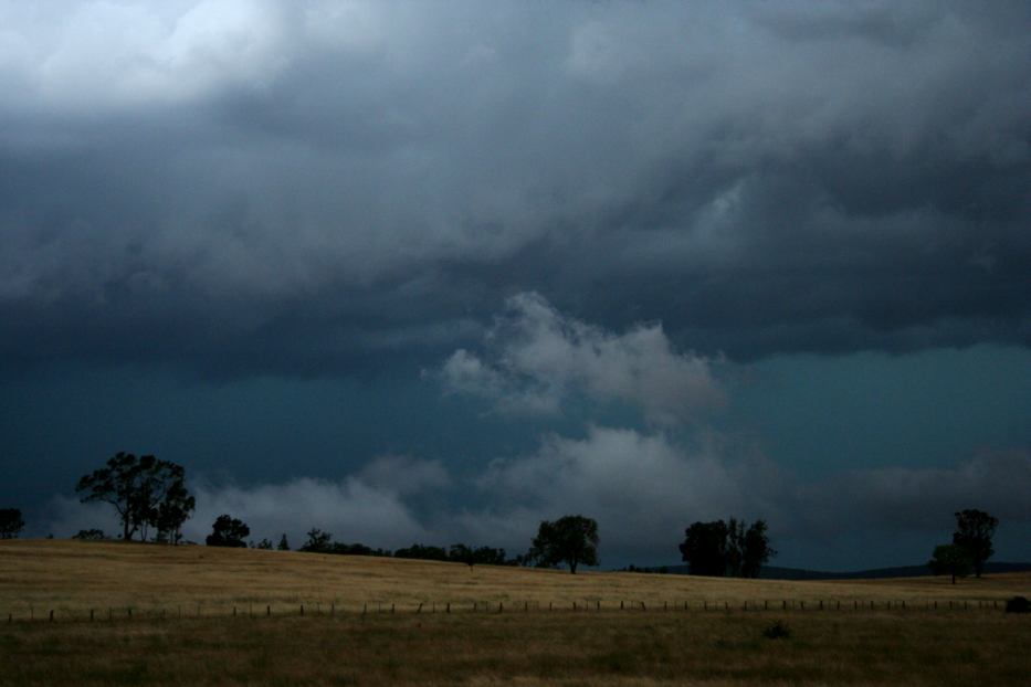 stratus stratus_cloud : E of Forbes, NSW   15 January 2006