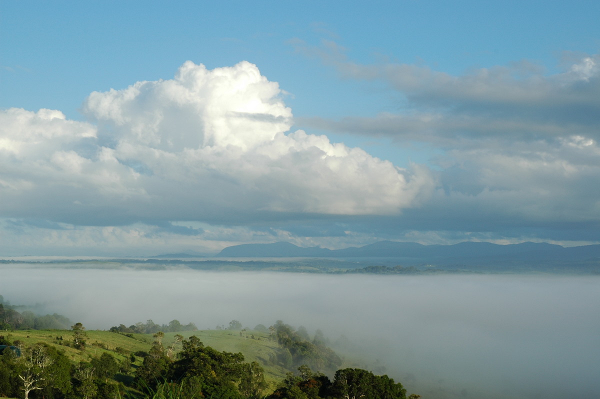 cumulus mediocris : McLeans Ridges, NSW   16 January 2006