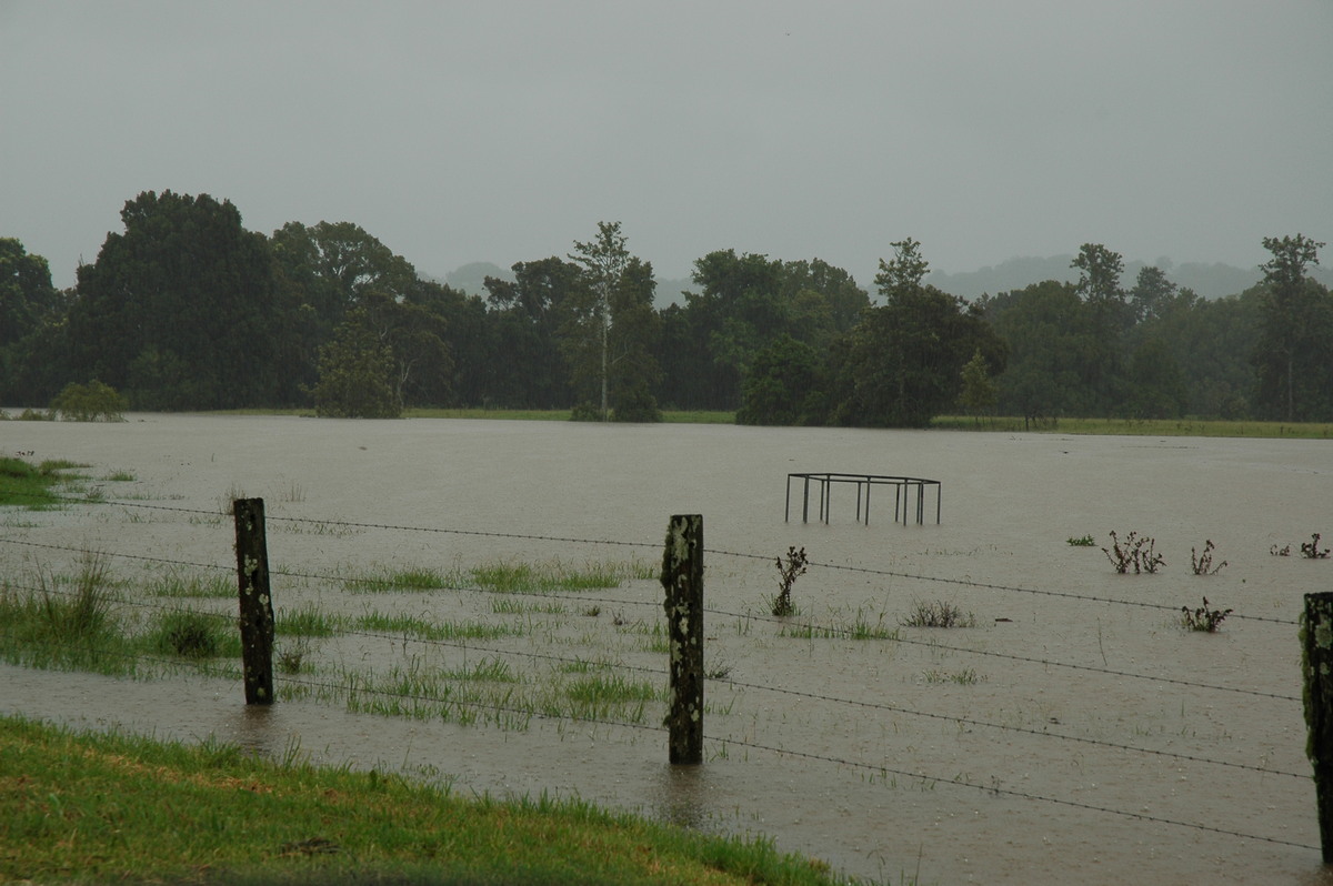 flashflooding flood_pictures : McLeans Ridges, NSW   19 January 2006