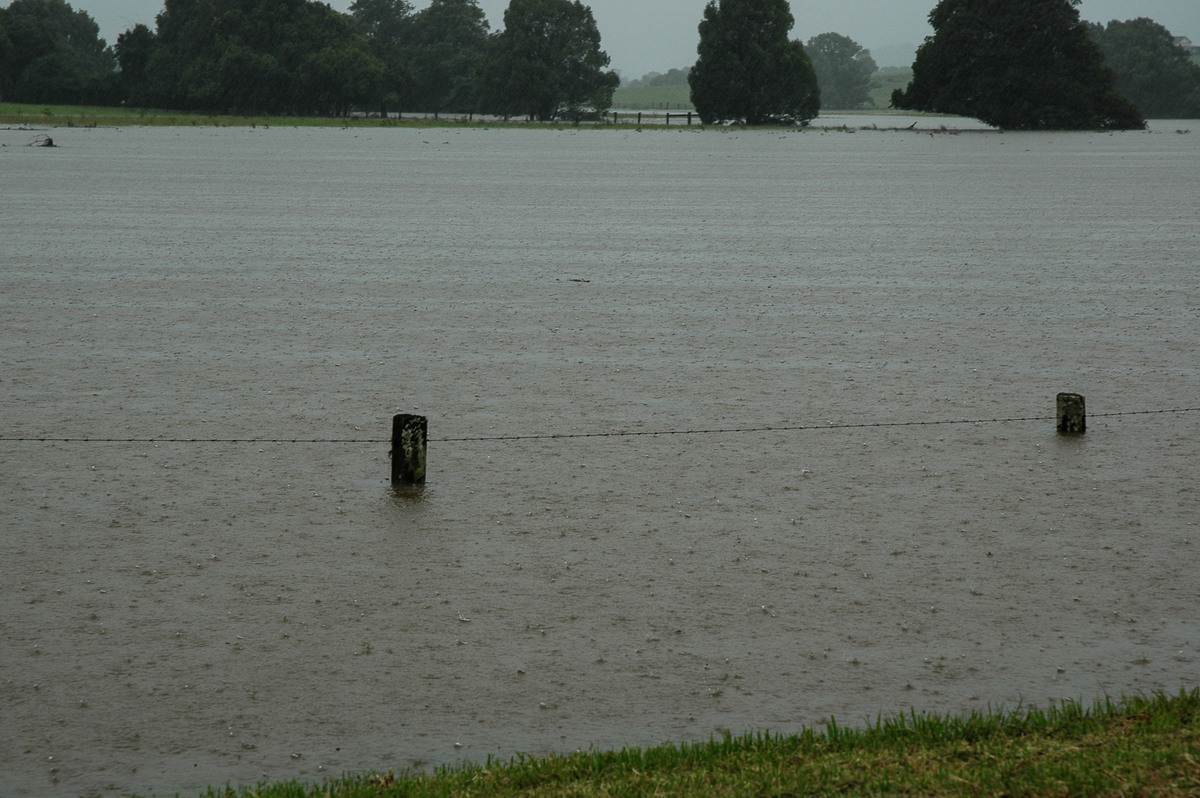 flashflooding flood_pictures : McLeans Ridges, NSW   19 January 2006