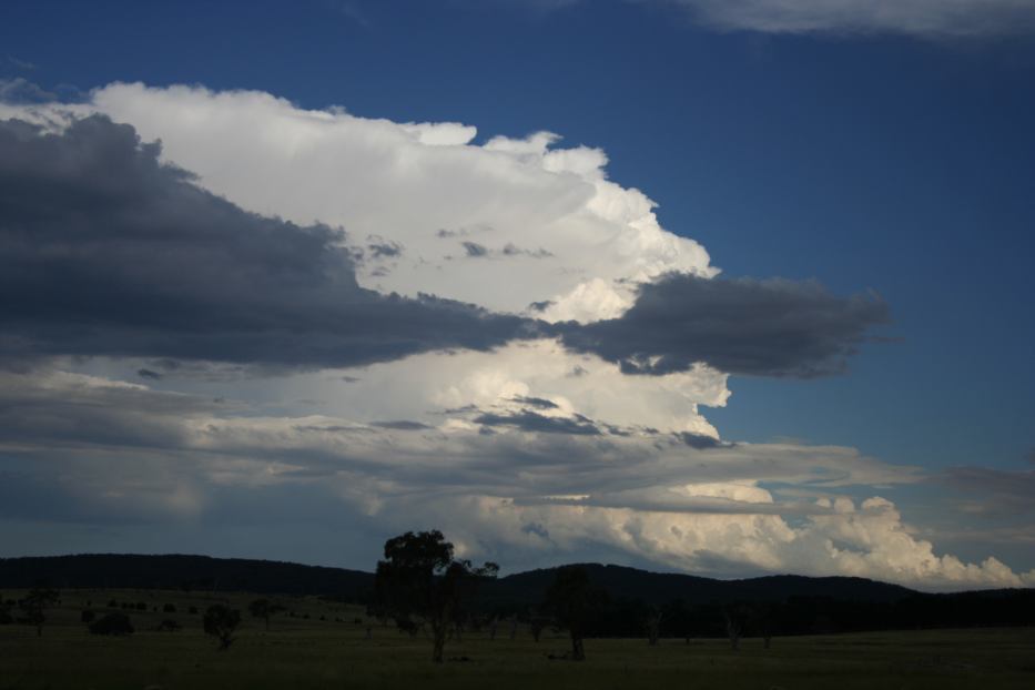 thunderstorm cumulonimbus_incus : Collector, NSW   21 January 2006