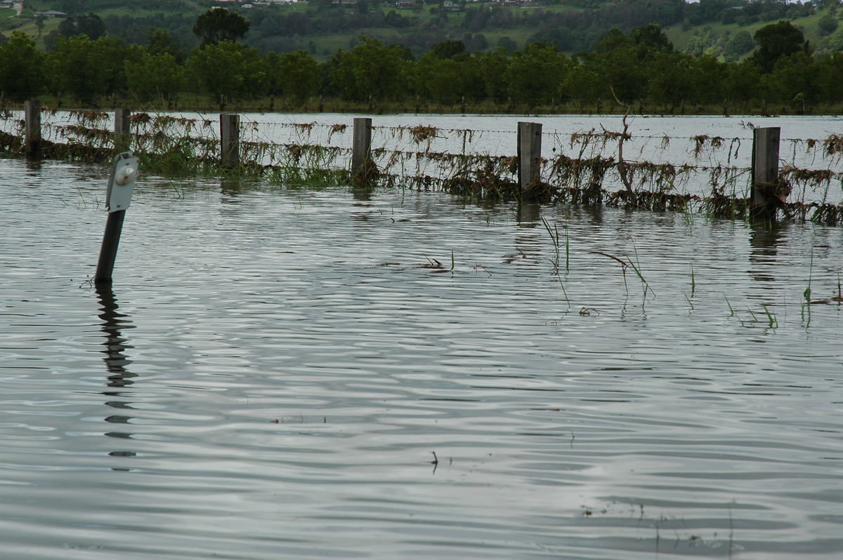 flashflooding flood_pictures : McLeans Ridges, NSW   21 January 2006