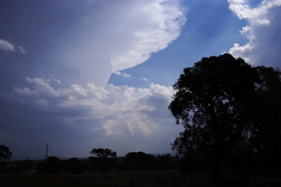 thunderstorm cumulonimbus_incus : near Rylstone, NSW   24 January 2006