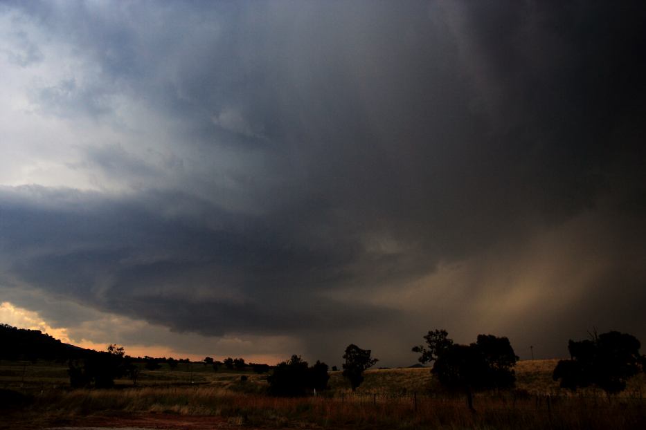 cumulonimbus thunderstorm_base : near Mudgee, NSW   24 January 2006