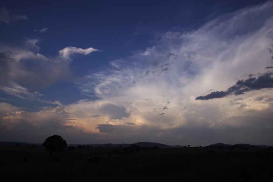 thunderstorm cumulonimbus_incus : W of Gulgong, NSW   24 January 2006