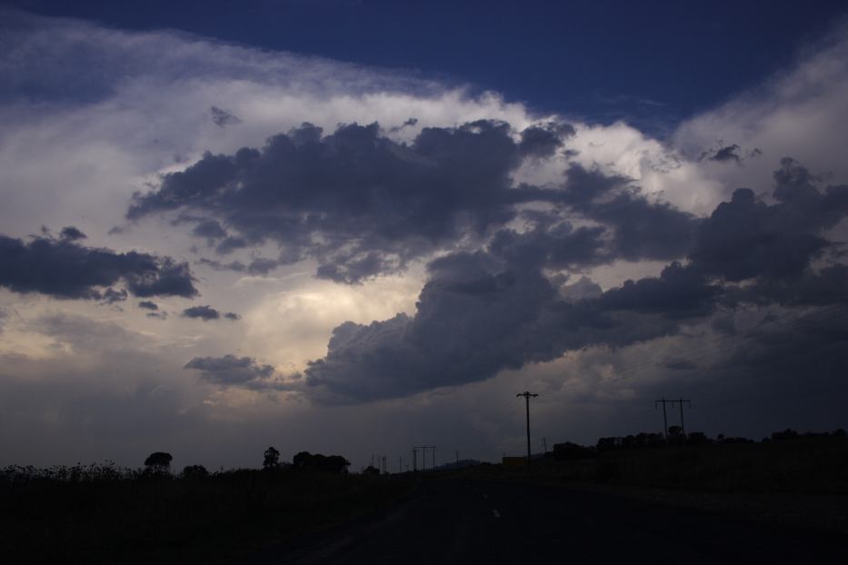 altocumulus altocumulus_cloud : W of Gulgong, NSW   24 January 2006