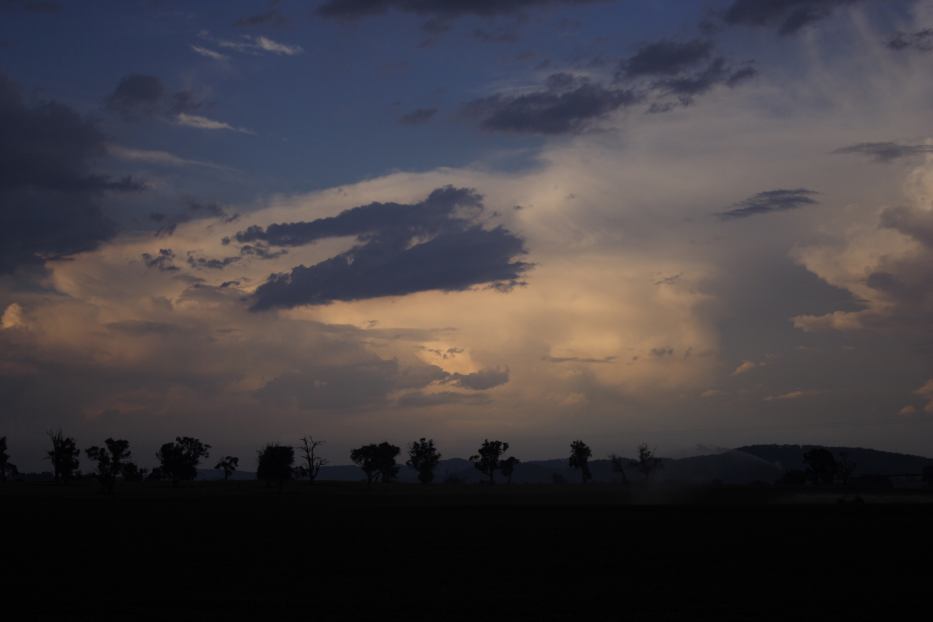 sunset sunset_pictures : W of Gulgong, NSW   24 January 2006