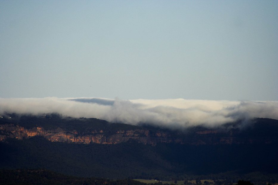 fogmist fog_mist_frost : N of Lithgow, NSW   3 February 2006