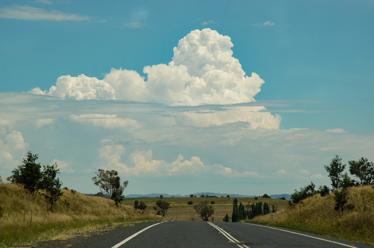 thunderstorm cumulonimbus_calvus : near Glen Innes, NSW   4 February 2006