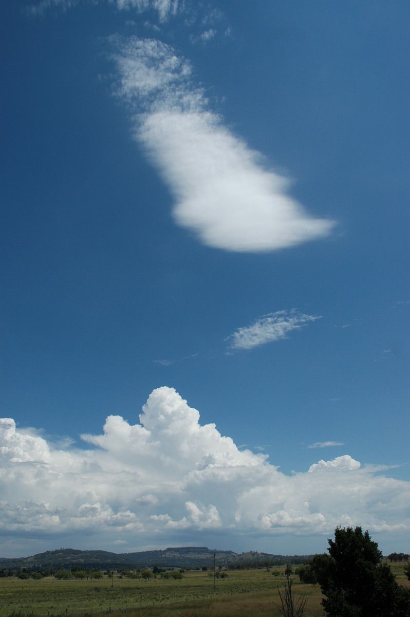 altocumulus lenticularis : near Glen Innes, NSW   4 February 2006