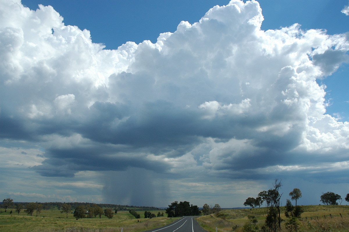 cumulus congestus : near Glen Innes, NSW   4 February 2006