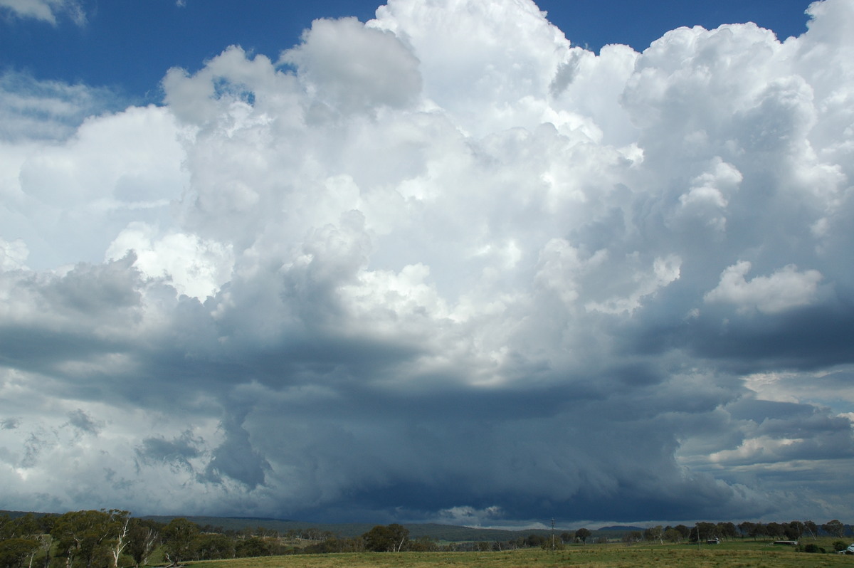 thunderstorm cumulonimbus_calvus : near Glen Innes, NSW   4 February 2006