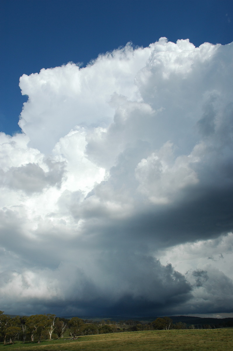 thunderstorm cumulonimbus_incus : near Glen Innes, NSW   4 February 2006