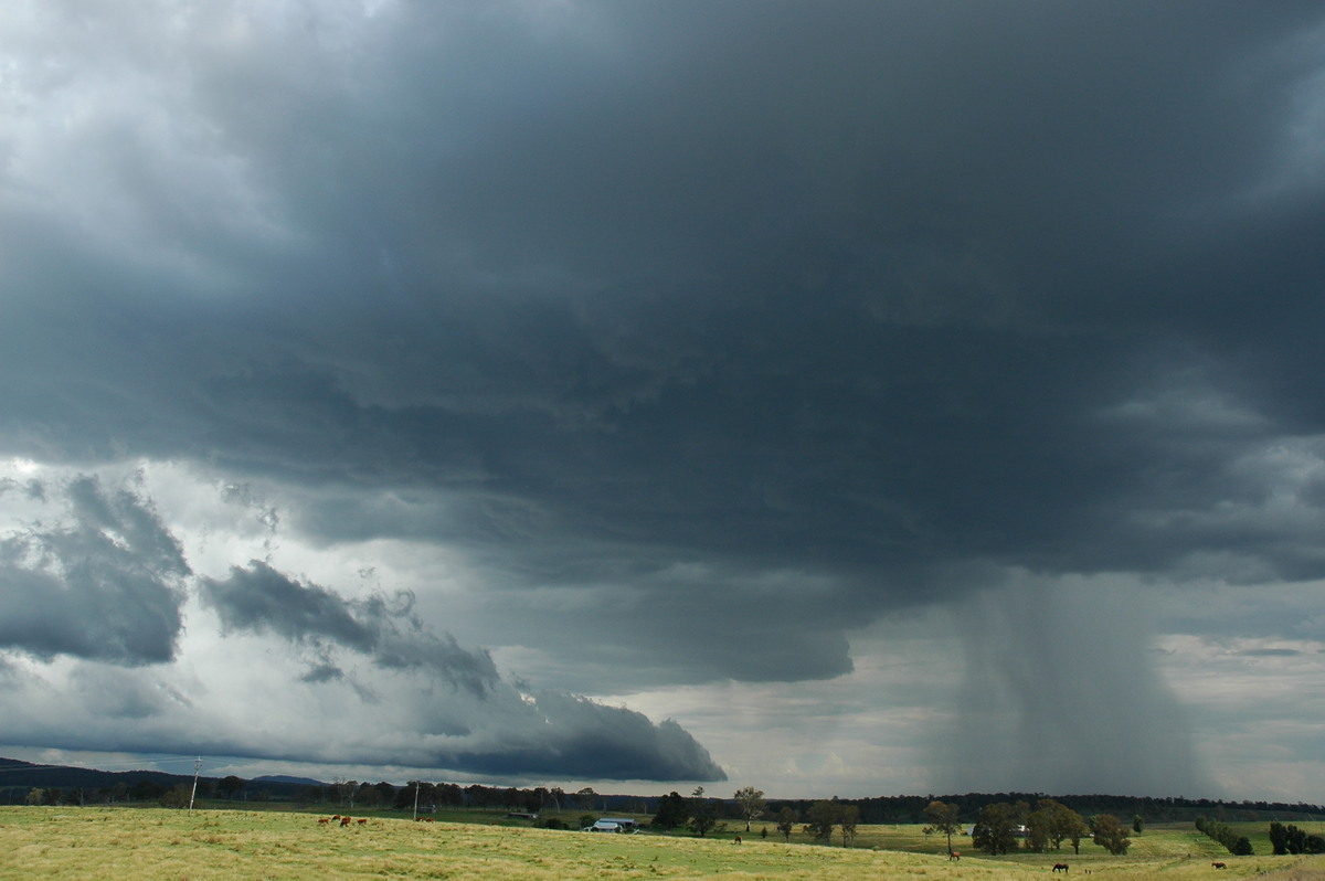 shelfcloud shelf_cloud : near Glen Innes, NSW   4 February 2006