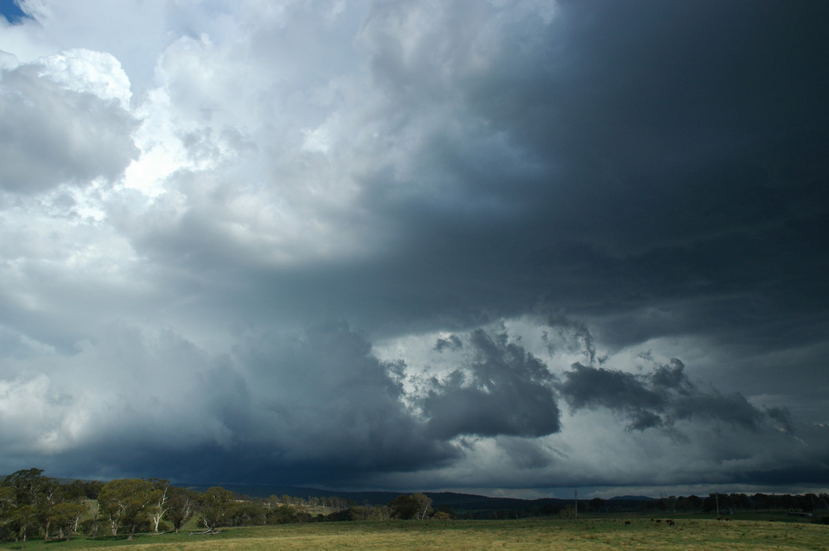 shelfcloud shelf_cloud : near Glen Innes, NSW   4 February 2006