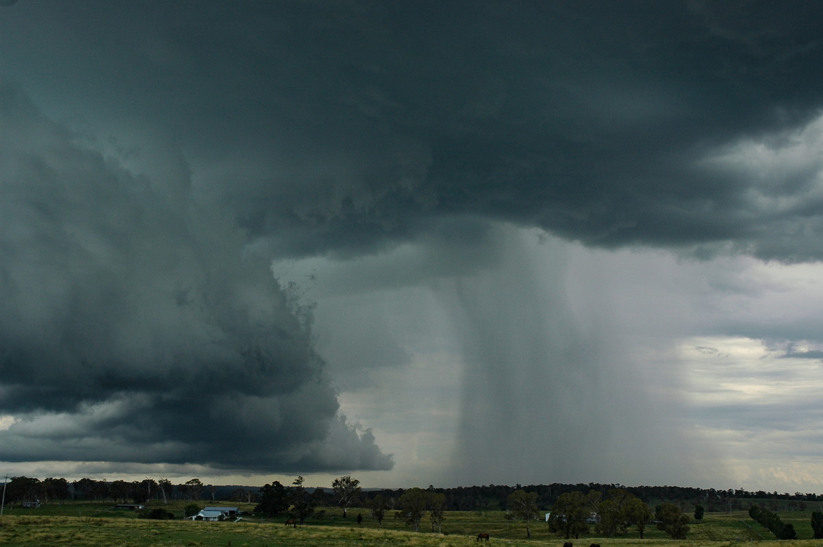 shelfcloud shelf_cloud : near Glen Innes, NSW   4 February 2006