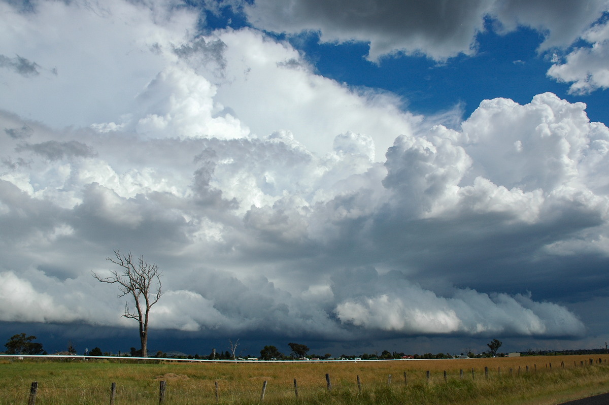 shelfcloud shelf_cloud : Deepwater, NSW   4 February 2006