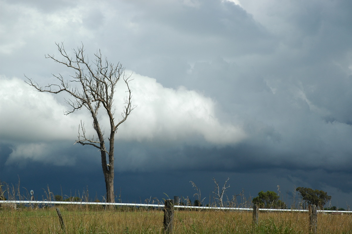 shelfcloud shelf_cloud : Deepwater, NSW   4 February 2006