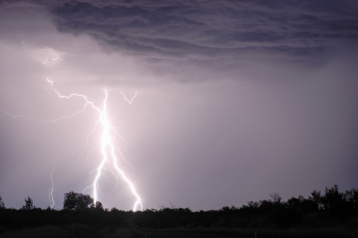 lightning lightning_bolts : near Bonshaw, NSW   4 February 2006