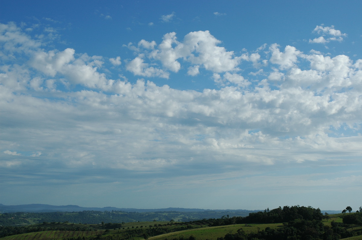 altocumulus castellanus : McLeans Ridges, NSW   10 February 2006