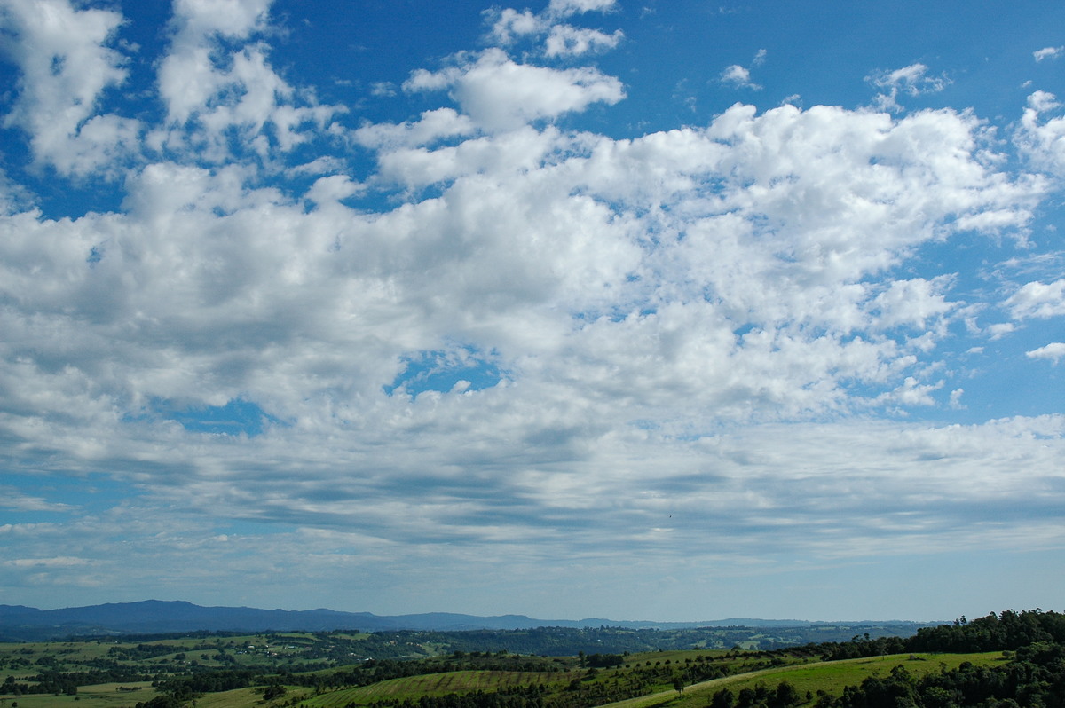 altocumulus castellanus : McLeans Ridges, NSW   10 February 2006