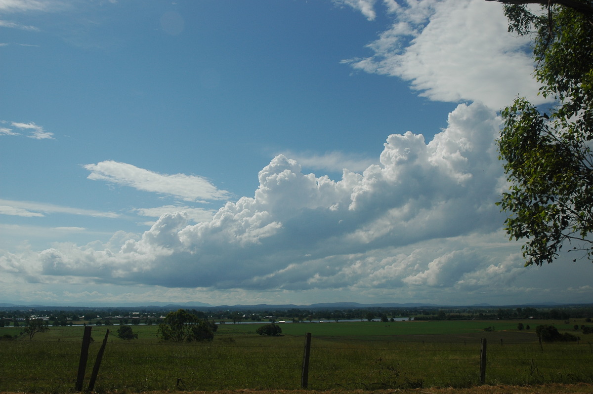 cumulus mediocris : near Grafton, NSW   12 February 2006