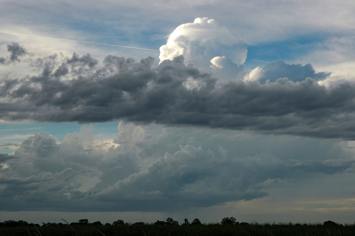 cumulus congestus : near Maclean, NSW   13 February 2006