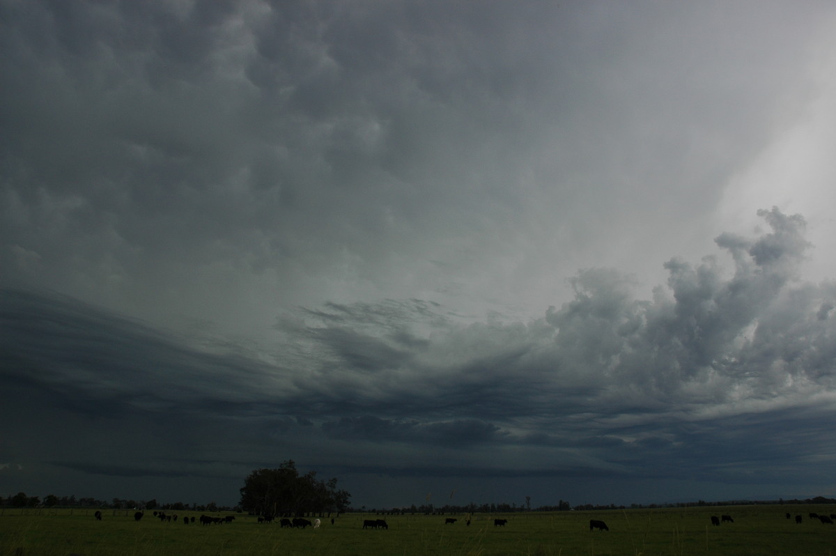 mammatus mammatus_cloud : near Maclean, NSW   13 February 2006