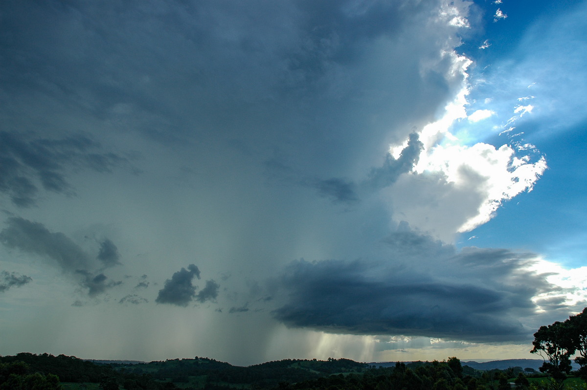 cumulonimbus thunderstorm_base : Tregeagle, NSW   17 February 2006