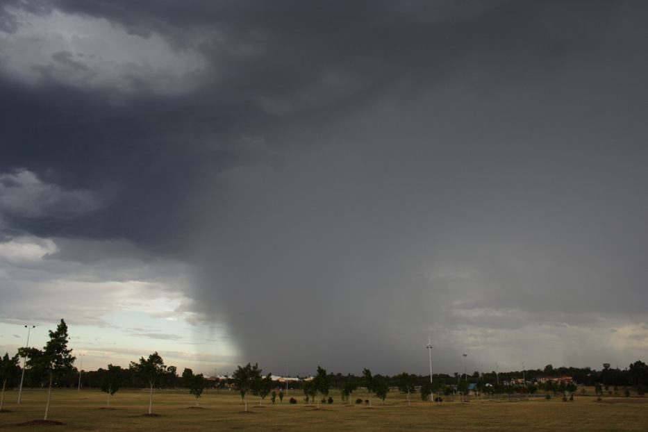 raincascade precipitation_cascade : Quakers Hill, NSW   18 February 2006