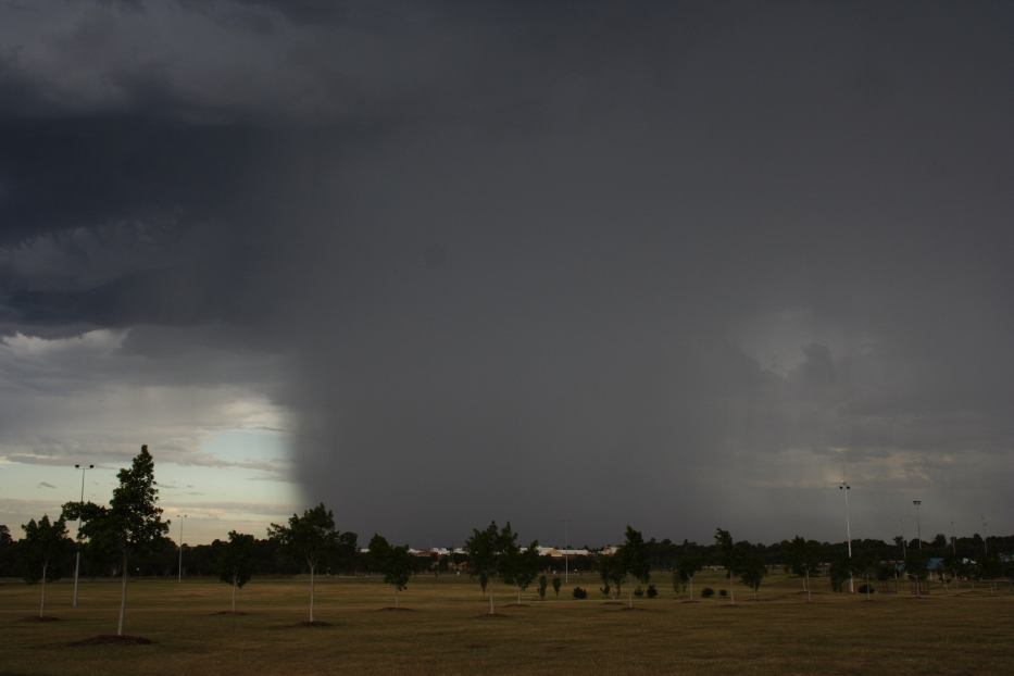 raincascade precipitation_cascade : Quakers Hill, NSW   18 February 2006