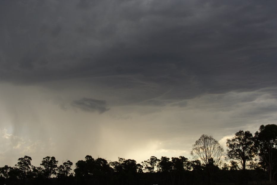 raincascade precipitation_cascade : Greta East, NSW   19 February 2006