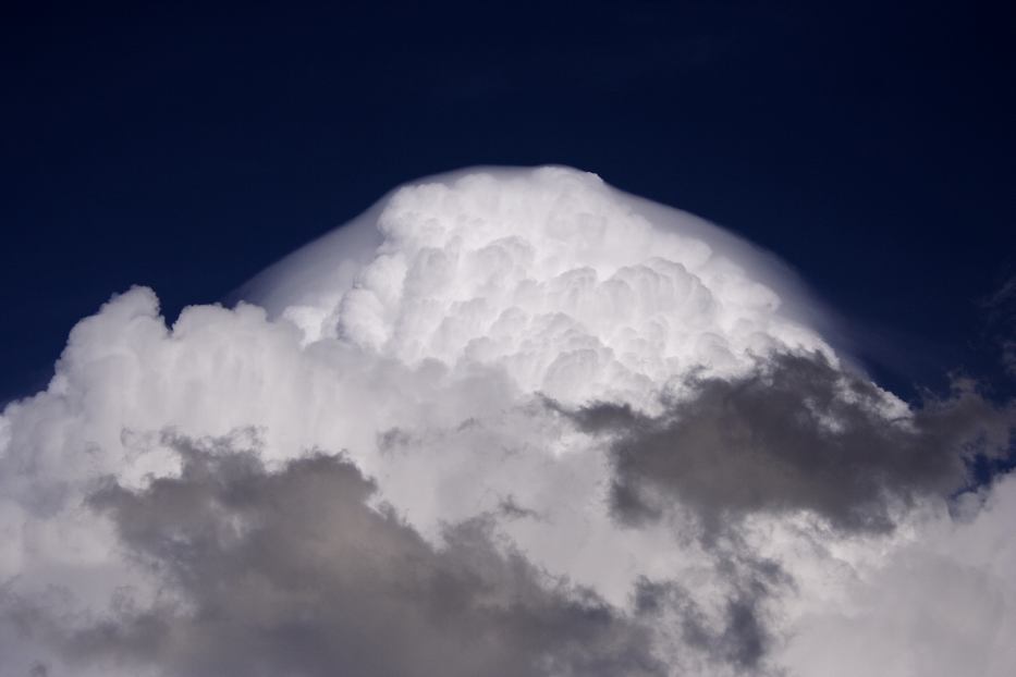 thunderstorm cumulonimbus_calvus : Gulgong, NSW   20 February 2006